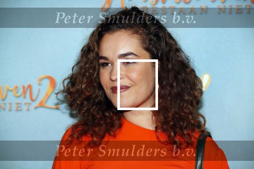Amsterdam 9 december 2019
Premiere huisvrouwen bestaan niet deel II in tuschinski. Annefleur v d Berg