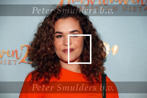 Amsterdam 9 december 2019
Premiere huisvrouwen bestaan niet deel II in tuschinski. Annefleur v d Berg