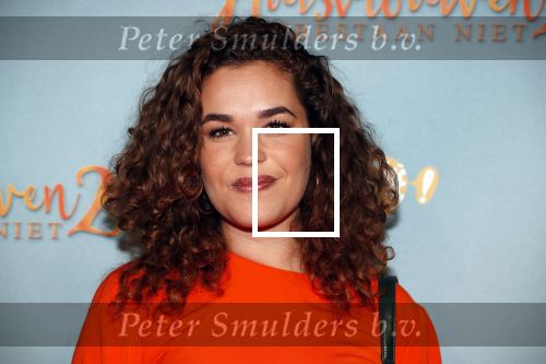 Amsterdam 9 december 2019
Premiere huisvrouwen bestaan niet deel II in tuschinski. Annefleur v d Berg