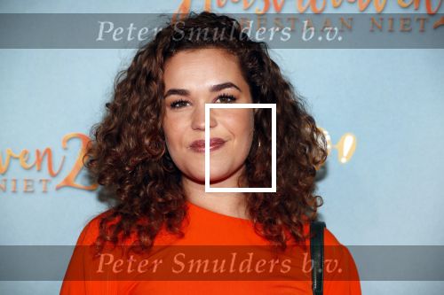 Amsterdam 9 december 2019
Premiere huisvrouwen bestaan niet deel II in tuschinski. Annefleur v d Berg