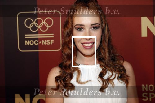 Amsterdam 18 december 2019
Sportman/ sportvrouw van het jaar gala in AFAS live ( Sportgala)
Antoinette de Jong met partner