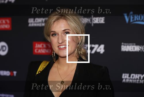 Arnhem 21 december 2019
Badr Hari versus Rico Verhoeven in het geldredome. Britt Dekker kwam met Jan Versteegh