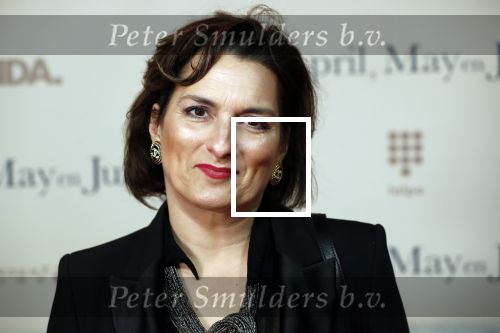 Amsterdam 16 december 2019
Premiere April may June in het deLamar theater met oa in de hoofdrollen Linda de Mol Elise Schaap en Tjitske Reidinga. Carly wijs