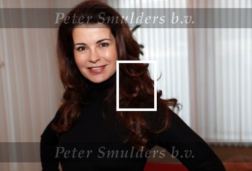Amsterdam 12 december 2019
Presentatie nieuwe cast GTST Tamara Brinkman, Johnny Kraaijkamp jr. met hond Dolly, Noa Zwan, Cas Jansen, Sophie Bouquet en Tommy van Lent Bertrie Wierenga en Ferri Somogyi. Carolien de Bruijn