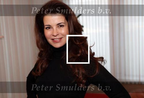 Amsterdam 12 december 2019
Presentatie nieuwe cast GTST Tamara Brinkman, Johnny Kraaijkamp jr. met hond Dolly, Noa Zwan, Cas Jansen, Sophie Bouquet en Tommy van Lent Bertrie Wierenga en Ferri Somogyi. Carolien de Bruijn