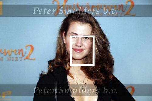 Amsterdam 9 december 2019
Premiere huisvrouwen bestaan niet deel II in tuschinski. Cecilia Adoree