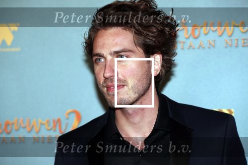 Amsterdam 9 december 2019
Premiere huisvrouwen bestaan niet deel II in tuschinski. Dorian Bindels