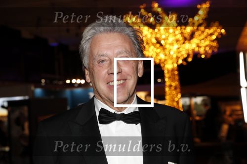 Amsterdam 12 december 2019
Luxury fair LXRY in de rai. Ed Nijpels