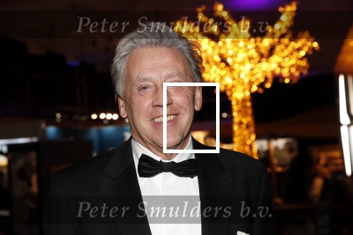 Amsterdam 12 december 2019
Luxury fair LXRY in de rai. Ed Nijpels