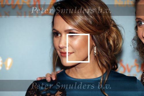 Amsterdam 9 december 2019
Premiere huisvrouwen bestaan niet deel II in tuschinski. Elize v d Horst