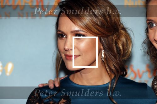 Amsterdam 9 december 2019
Premiere huisvrouwen bestaan niet deel II in tuschinski. Elize v d Horst