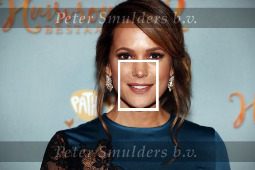 Amsterdam 9 december 2019
Premiere huisvrouwen bestaan niet deel II in tuschinski. Elize v d Horst