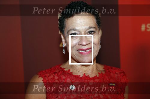 Amsterdam 18 december 2019
Sportman/ sportvrouw van het jaar gala in AFAS live ( Sportgala)
Enith Brigitha met man