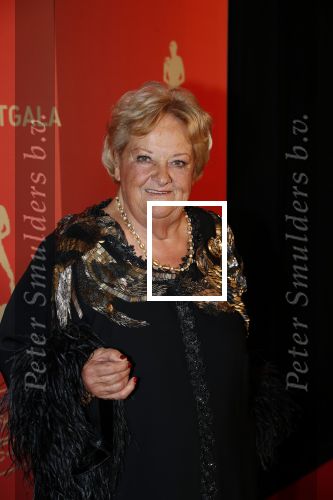 Amsterdam 18 december 2019
Sportman/ sportvrouw van het jaar gala in AFAS live ( Sportgala)
Erica Terpstra
