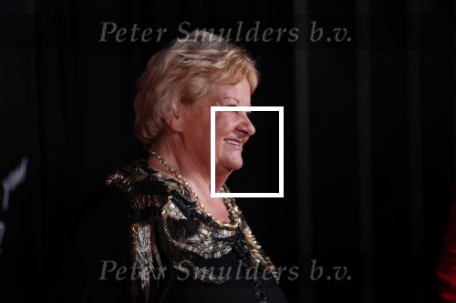 Amsterdam 18 december 2019
Sportman/ sportvrouw van het jaar gala in AFAS live ( Sportgala)
Erica Terpstra