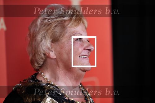 Amsterdam 18 december 2019
Sportman/ sportvrouw van het jaar gala in AFAS live ( Sportgala)
Erica Terpstra