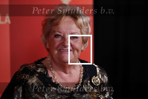 Amsterdam 18 december 2019
Sportman/ sportvrouw van het jaar gala in AFAS live ( Sportgala)
Erica Terpstra