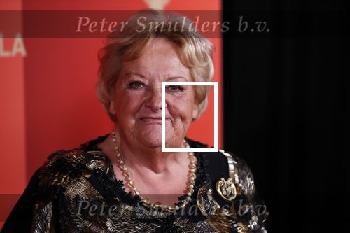 Amsterdam 18 december 2019
Sportman/ sportvrouw van het jaar gala in AFAS live ( Sportgala)
Erica Terpstra