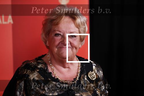 Amsterdam 18 december 2019
Sportman/ sportvrouw van het jaar gala in AFAS live ( Sportgala)
Erica Terpstra