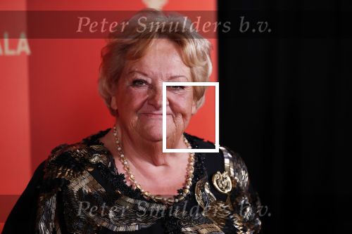 Amsterdam 18 december 2019
Sportman/ sportvrouw van het jaar gala in AFAS live ( Sportgala)
Erica Terpstra