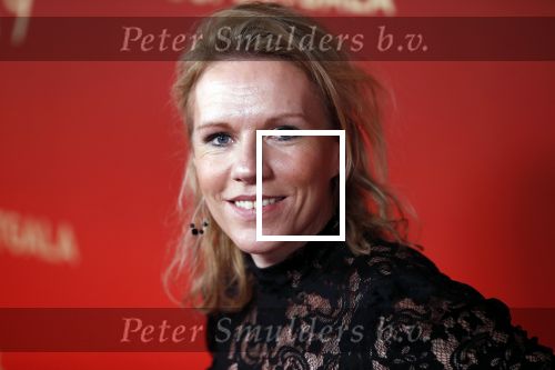 Amsterdam 18 december 2019
Sportman/ sportvrouw van het jaar gala in AFAS live ( Sportgala)
Esther Vergeer met partner