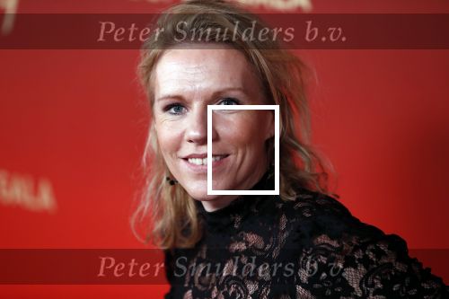 Amsterdam 18 december 2019
Sportman/ sportvrouw van het jaar gala in AFAS live ( Sportgala)
Esther Vergeer met partner