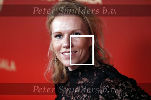 Amsterdam 18 december 2019
Sportman/ sportvrouw van het jaar gala in AFAS live ( Sportgala)
Esther Vergeer met partner