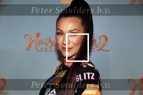 Amsterdam 9 december 2019
Premiere huisvrouwen bestaan niet deel II in tuschinski. Eva v d Wijdeven zwanger