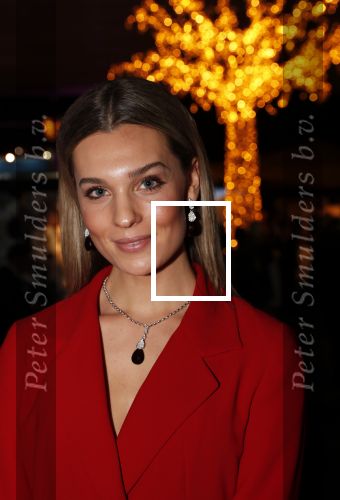 Amsterdam 12 december 2019
Luxury fair LXRY in de rai. Simcha en Felice Roedema