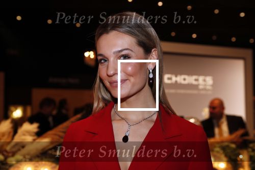Amsterdam 12 december 2019
Luxury fair LXRY in de rai. Simcha en Felice Roedema