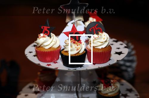 Zoetermeer 8 december 2019
Surpriseparty voor Hans Bouwens ( George Baker) vanwege zijn 75e verjaardag en 50 jaar artiest.