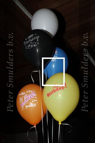 Zoetermeer 8 december 2019
Surpriseparty voor Hans Bouwens ( George Baker) vanwege zijn 75e verjaardag en 50 jaar artiest.
