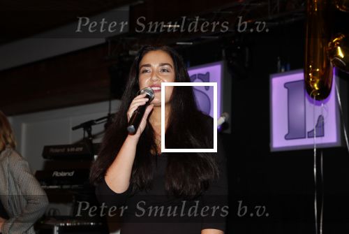 Zoetermeer 8 december 2019
Surpriseparty voor Hans Bouwens ( George Baker) vanwege zijn 75e verjaardag en 50 jaar artiest. dochter George Baker