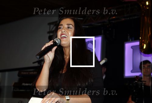Zoetermeer 8 december 2019
Surpriseparty voor Hans Bouwens ( George Baker) vanwege zijn 75e verjaardag en 50 jaar artiest. dochter George Baker