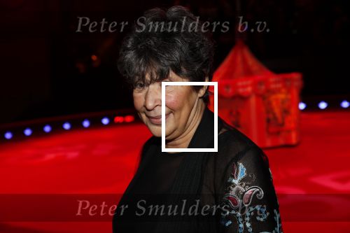 Amsterdam 19 december 2019
Premiere kerstcircus in Carre. Heddy Lester