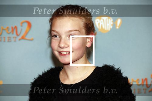 Amsterdam 9 december 2019
Premiere huisvrouwen bestaan niet deel II in tuschinski.