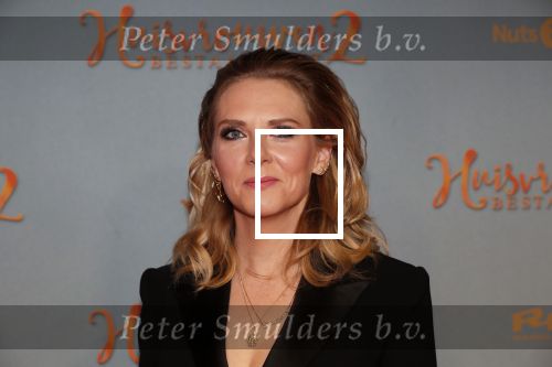 Amsterdam 9 december 2019
Premiere huisvrouwen bestaan niet deel II in tuschinski.
Jelka v Houten kwam met vriend Henri v Loon