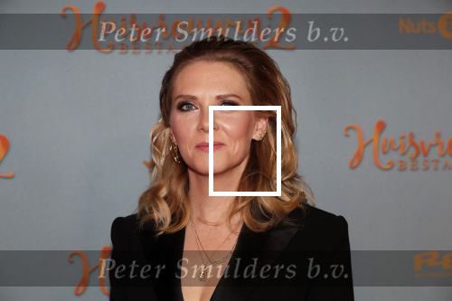 Amsterdam 9 december 2019
Premiere huisvrouwen bestaan niet deel II in tuschinski.
Jelka v Houten kwam met vriend Henri v Loon