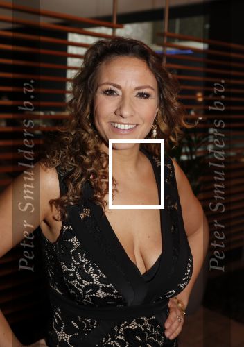 Den Haag 16 december 2019
De society lunch in hotel crown plaza . Jessica Mendels kwam met haar zus
