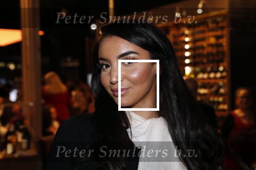 Amsterdam 12 december 2019
Luxury fair LXRY in de rai. Kennis Mustapha Nakhli