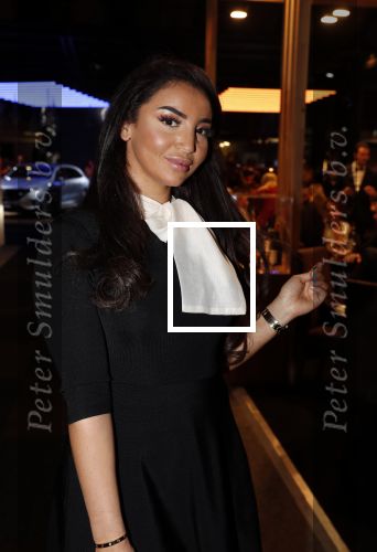 Amsterdam 12 december 2019
Luxury fair LXRY in de rai. Kennis Mustapha Nakhli