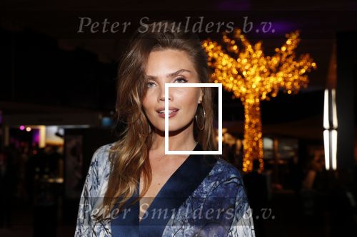 Amsterdam 12 december 2019
Luxury fair LXRY in de rai. Kim Feenstra kwam met haar vriend
