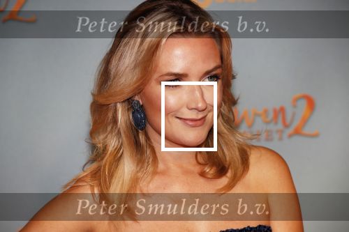 Amsterdam 9 december 2019
Premiere huisvrouwen bestaan niet deel II in tuschinski.
Laurien Verstraten