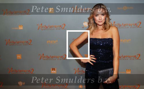 Amsterdam 9 december 2019
Premiere huisvrouwen bestaan niet deel II in tuschinski.
Laurien Verstraten