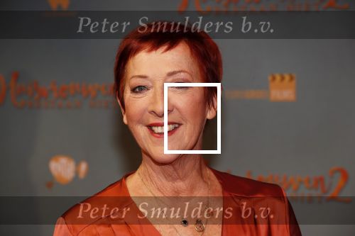 Amsterdam 9 december 2019
Premiere huisvrouwen bestaan niet deel II in tuschinski. Loes Luca