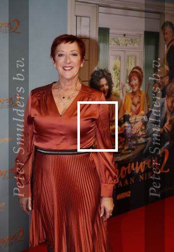 Amsterdam 9 december 2019
Premiere huisvrouwen bestaan niet deel II in tuschinski. Loes Luca