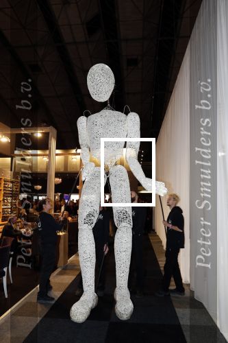 Amsterdam 12 december 2019
Luxury fair LXRY in de rai.