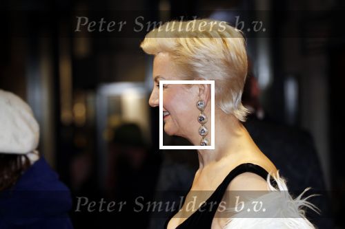 Amsterdam 9 december 2019
Premiere huisvrouwen bestaan niet deel II in tuschinski. Mariana Verkerk met een vriend
