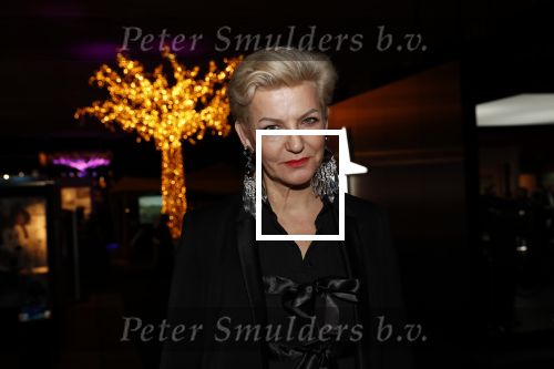 Amsterdam 12 december 2019
Luxury fair LXRY in de rai. Mariane Verkerk