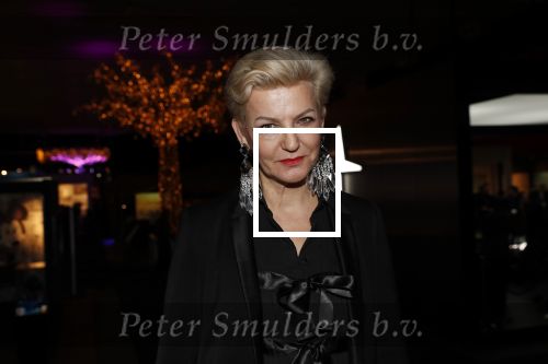 Amsterdam 12 december 2019
Luxury fair LXRY in de rai. Mariane Verkerk